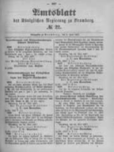 Amtsblatt der K&ouml;niglichen Preussischen Regierung zu Bromberg. 1897.06.03 No.22