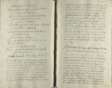 Mikołai Vhrowieczki starosta hełmsky mowił w te słowa do przemowcy Sieninskiego