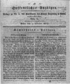 Oeffentlicher Anzeiger. 1819.02.09 Nro.6