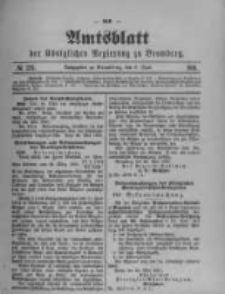 Amtsblatt der K&ouml;niglichen Preussischen Regierung zu Bromberg. 1901.06.06 No.23