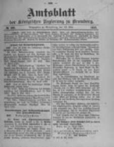 Amtsblatt der Königlichen Preussischen Regierung zu Bromberg. 1910.05.19 No.20