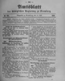 Amtsblatt der K&ouml;niglichen Preussischen Regierung zu Bromberg. 1900.07.19 No.29
