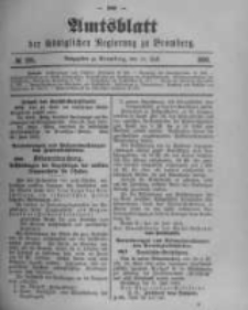 Amtsblatt der Königlichen Preussischen Regierung zu Bromberg. 1900.07.19 No.29