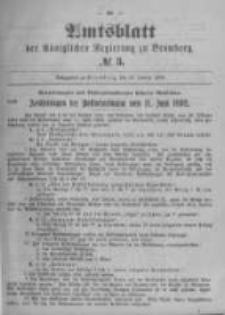 Amtsblatt der K&ouml;niglichen Preussischen Regierung zu Bromberg. 1899.01.19 No.3