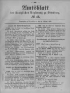 Amtsblatt der K&ouml;niglichen Preussischen Regierung zu Bromberg. 1899.10.19 No.42