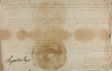 Consensus ad cedendum de capitancatu Raslawensi in paltu; Kijoviae districtu Żytomirien; gnoso Andreae Olendzki (castellanidae chełmensi, gen. adj. exerc. Regni) in personas gnosor; Campenhausen (Joannis, succ. parnavien) conjugum 10.02.1731