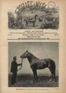 Jeździec i Myśliwy 1901 Nr10