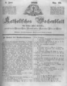 Katholisches Wochenblatt für Leser aller Stände zunächst für die Diöcesen Culm, Ermeland und das Erzbisthum Posen und Gnesen. 1850.06.01 No22