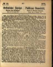 Oeffentlicher Anzeiger. 1873.08.14 Nro.33