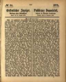 Oeffentlicher Anzeiger. 1873.08.21 Nro.34