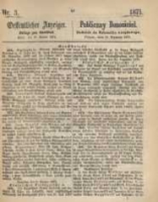 Oeffentlicher Anzeiger. 1871.01.17 Nro.3
