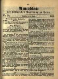 Amtsblatt der Königlichen Regierung zu Posen. 1894.08.28 Nro.35