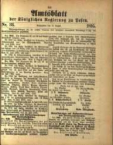 Amtsblatt der K&ouml;niglichen Regierung zu Posen. 1895.08.13 Nro.33
