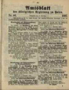 Amtsblatt der Königlichen Regierung zu Posen. 1897.11.16 Nro.46