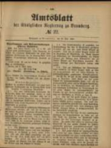 Amtsblatt der K&ouml;niglichen Regierung zu Posen. 1885.05.29 Nro.22