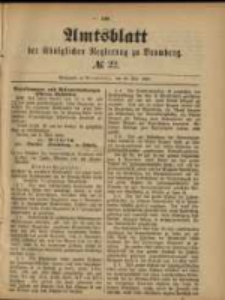 Amtsblatt der Königlichen Regierung zu Posen. 1885.05.29 Nro.22