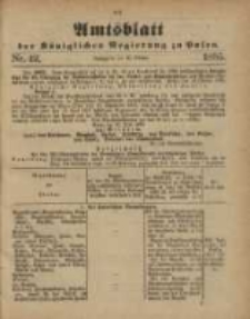 Amtsblatt der K&ouml;niglichen Regierung zu Posen. 1885.10.20 Nro.42