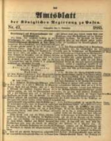 Amtsblatt der Königlichen Regierung zu Posen. 1885.11.24 Nro.47