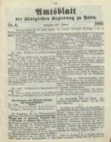 Amtsblatt der Königlichen Regierung zu Posen. 1900.02.06 Nro.6