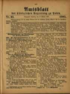 Amtsblatt der Königlichen Regierung zu Posen. 1905.10.17 Nro.42