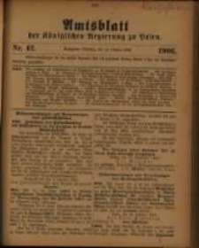 Amtsblatt der Königlichen Regierung zu Posen. 1906.10.16 Nro.42
