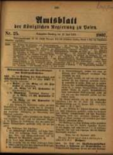 Amtsblatt der Königlichen Regierung zu Posen. 1907.06.18 Nro.25