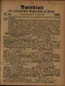 Amtsblatt der Königlichen Regierung zu Posen. 1907.10.15 Nro.42