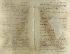 Skarga mieszczan płockich na krzywdę w ocaleniu pieprzu i szafranu ok. 1554