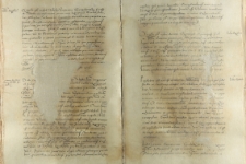 Palatino Podoliensi Joanni Mielecki po 1548 roku