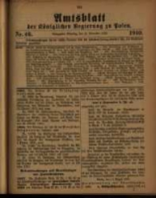 Amtsblatt der Königlichen Regierung zu Posen. 1910.11.15 Nro.46