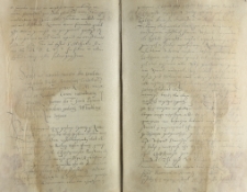 Wypędzenie z kraju ustawą sejmową trynitarzy i anabaptyst&oacute;w