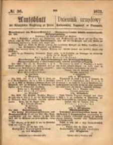 Amtsblatt der Königlichen Regierung zu Posen. 1873.09.04 Nro.36