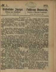 Oeffentlicher Anzeiger. 1873.01.02 Nro.1