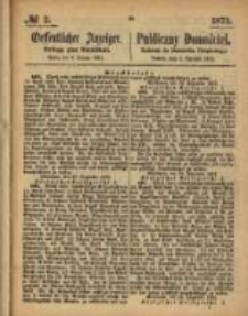 Oeffentlicher Anzeiger. 1873.01.09 Nro.2