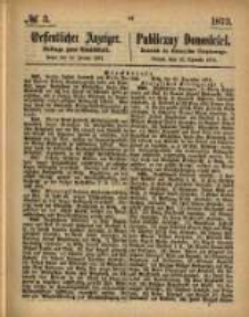 Oeffentlicher Anzeiger. 1873.01.16 Nro.3