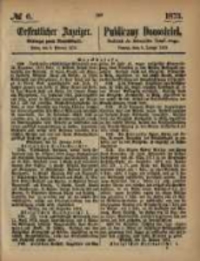 Oeffentlicher Anzeiger. 1873.02.06 Nro.6