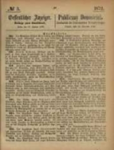 Oeffentlicher Anzeiger. 1872.01.16 Nro.3