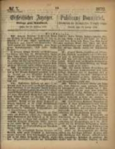 Oeffentlicher Anzeiger. 1872.02.13 Nro.7
