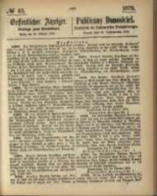 Oeffentlicher Anzeiger. 1872.10.24 Nro.43