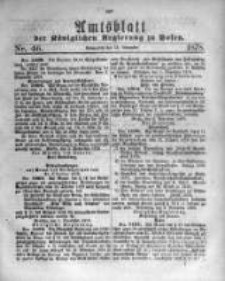 Amtsblatt der Königlichen Regierung zu Posen. 1878.11.13 Nro.46