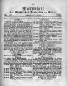 Amtsblatt der K&ouml;niglichen Regierung zu Posen. 1877.11.14 Nro.46