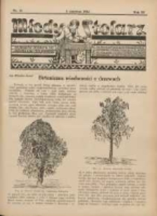 Młody Stolarz: bezpłatny dodatek do "Przeglądu Stolarskiego" 1932.06.01 R.3 Nr11