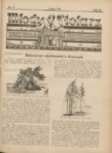 Młody Stolarz: bezpłatny dodatek do "Przeglądu Stolarskiego" 1932.07.01 R.3 Nr13