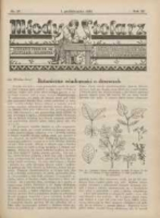 Młody Stolarz: bezpłatny dodatek do "Przeglądu Stolarskiego" 1932.10.01 R.3 Nr19