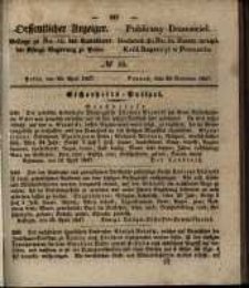 Oeffentlicher Anzeiger. 1847.04.20 Nro.16