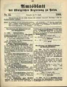 Amtsblatt der K&ouml;niglichen Regierung zu Posen. 1900.08.28 Nro.35