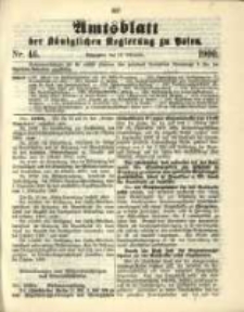 Amtsblatt der K&ouml;niglichen Regierung zu Posen. 1900.11.13 Nro.46