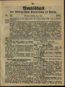 Amtsblatt der Königlichen Regierung zu Posen. 1902.06.03 Nro.22