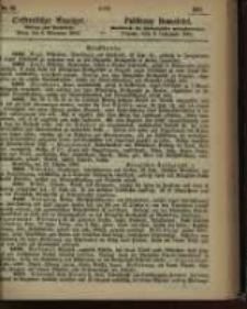 Oeffentlicher Anzeiger. 1866.11.06 Nro.45