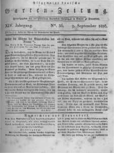Allgemeine deutsche Garten-Zeitung. 1836.09.09 No.36